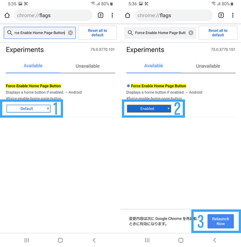 Force Enable Home Page Button を Enabled に切り替えて Relaunch Now をタップ
